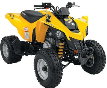 quad can am ds 250