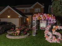 Balloon Architecture Lawn Displays in and around Ottawa are now available.
